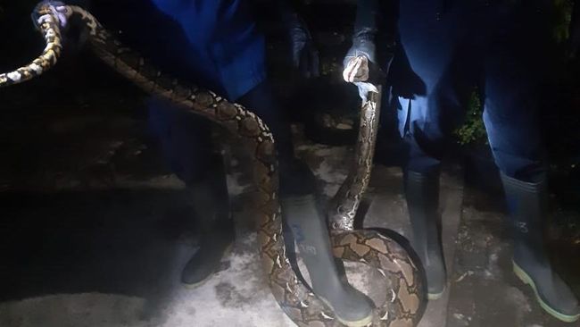 Rus mobil porno Amaki porno tomosha qilgan