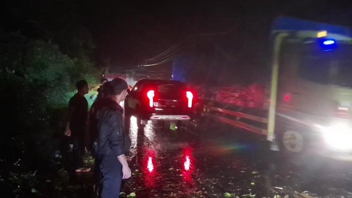 Pohon Tumbang di Jalan Lintas Sekayu-Palembang, Sempat Macet Panjang