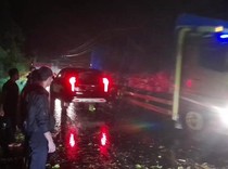 Pohon Tumbang di Jalan Lintas Sekayu-Palembang, Sempat Macet Panjang