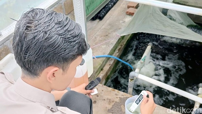 Progam Makan Bergizi Gratis bikin petani Lumajang cuan besar Progam Makan Bergizi Gratis bikin petani Lumajang cuan besar