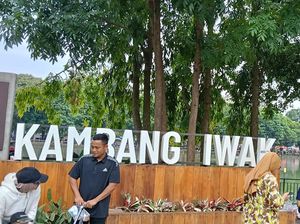 Pemkot Palembang Rancang Satukan Aturan UMKM di KI dan Kolonel Atmo