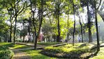 Taman Menteng Bintaro, Spot Bengong dan Healing Aesthetic Dekat Jakarta Taman Menteng Bintaro, Spot Bengong dan Healing Aesthetic Dekat Jakarta