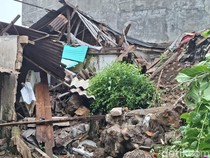 Video: Kondisi Tebing Longsor Rusak Sejumlah Rumah di Bogor