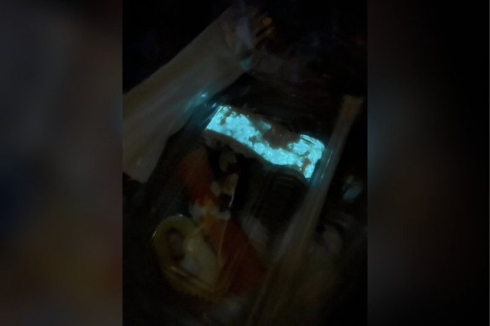 Viral Sushi Glow in the Dark di Thailand, Ternyata Ini Penyebabnya Sushi Glow in the Dark di Thailand