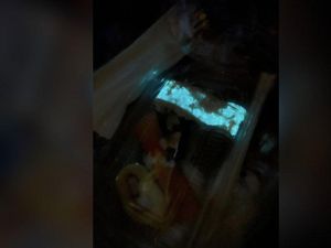 Viral Sushi Glow in the Dark di Thailand, Ternyata Ini Penyebabnya