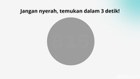 Warna abu-abu ini memang bikin pusing, tapi mudah kalau matamu setajam mata elang. (Foto: Aida Adha Siregar/detikHealth)