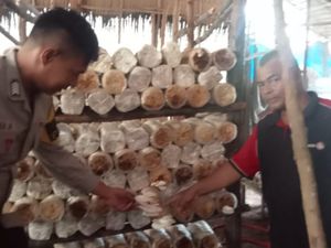 Perkuat Pangan Lokal, Bhabin di Dumai Sukses Dampingi Budidaya Jamur-Cabai