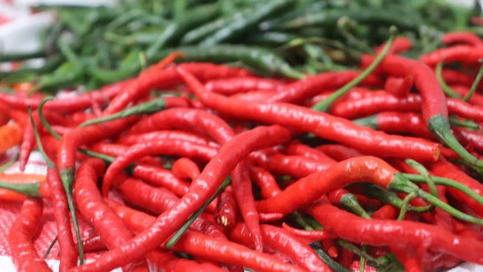 Cabai Merah Keriting Harga Sembako Jogja Hari Ini 29 Oktober 2025: Cabai Merah Keriting Naik Lagi!