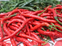 Harga Sembako Jogja Hari Ini 29 Oktober 2025: Cabai Merah Keriting Sepedas Ini