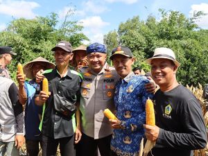 Polres Serang Salurkan 112 Ton Jagung ke Bulog, Tertinggi di Polda Banten
