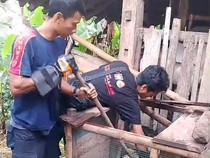 Kagetnya Sarimin Temukan Ular Sanca 2 Meter Mangsa Ayam Miliknya