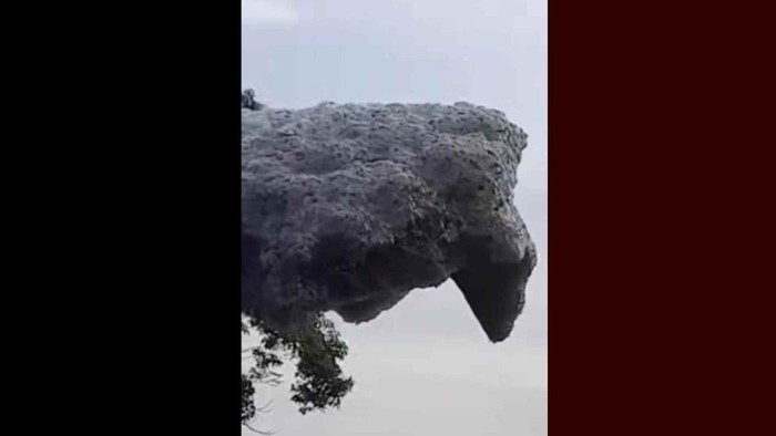 Gumpalan hitam yang terbang di langit Subang