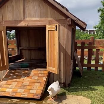 Kinville Park Taman Sensori di Malang