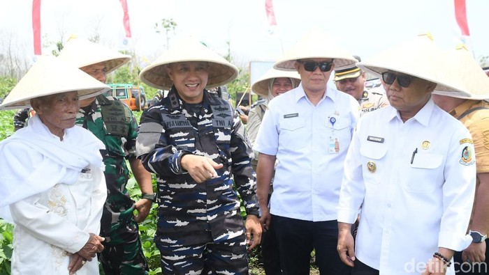 Komandan Lanal Banyuwangi bersama Forkopimda memantau lahan pertanian kedelai di Kecamatan Tegaldlimo Komandan Lanal Banyuwangi bersama Forkopimda memantau lahan pertanian kedelai di Kecamatan Tegaldlimo