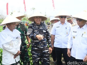 Banyuwangi Sukses Tanam Kedelai Garuda Merah Putih, Siap Diperluas