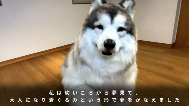 Kostum Anjing yang sangat realistis. Kostum Anjing yang sangat realistis. (Tangkapan Layar Youtube/ I want to be an animal)