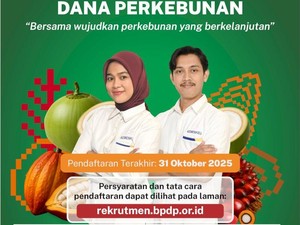 Rekrutmen BPDP 2025 Ada 16 Posisi Tersedia, Ini Jadwal, Syarat-Ketentuannya