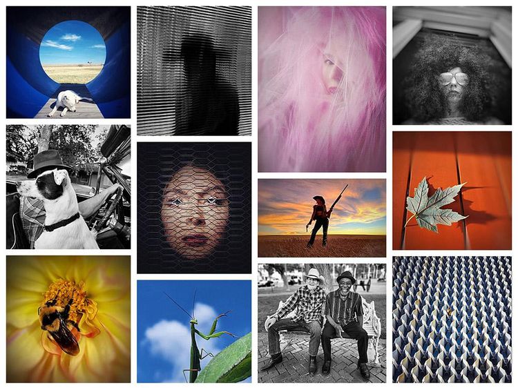 Foto-Foto Juara Mobile Photography Awards 2025, Semua dari HP!