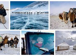 Foto-Foto Juara Mobile Photography Awards 2025, Semua dari HP!