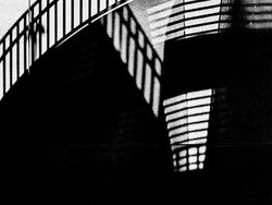 Foto-Foto Juara Mobile Photography Awards 2025, Semua dari HP!