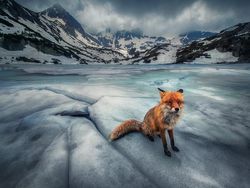 Foto-Foto Juara Mobile Photography Awards 2025, Semua dari HP!