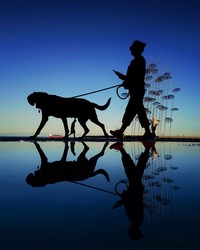 Mobile Photography Awards 2025