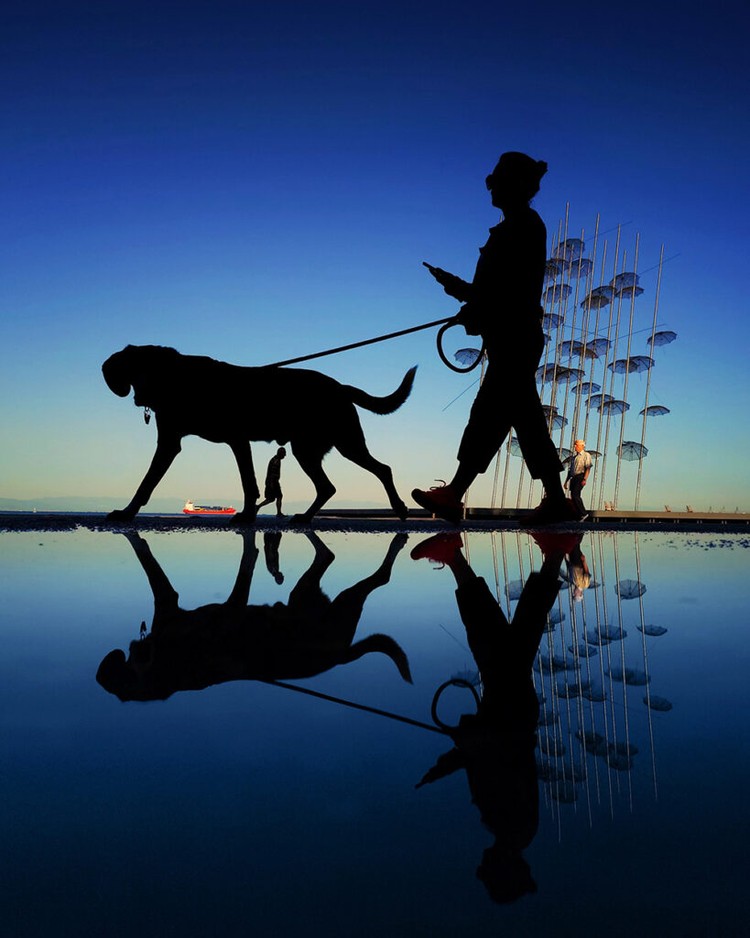 Mobile Photography Awards 2025