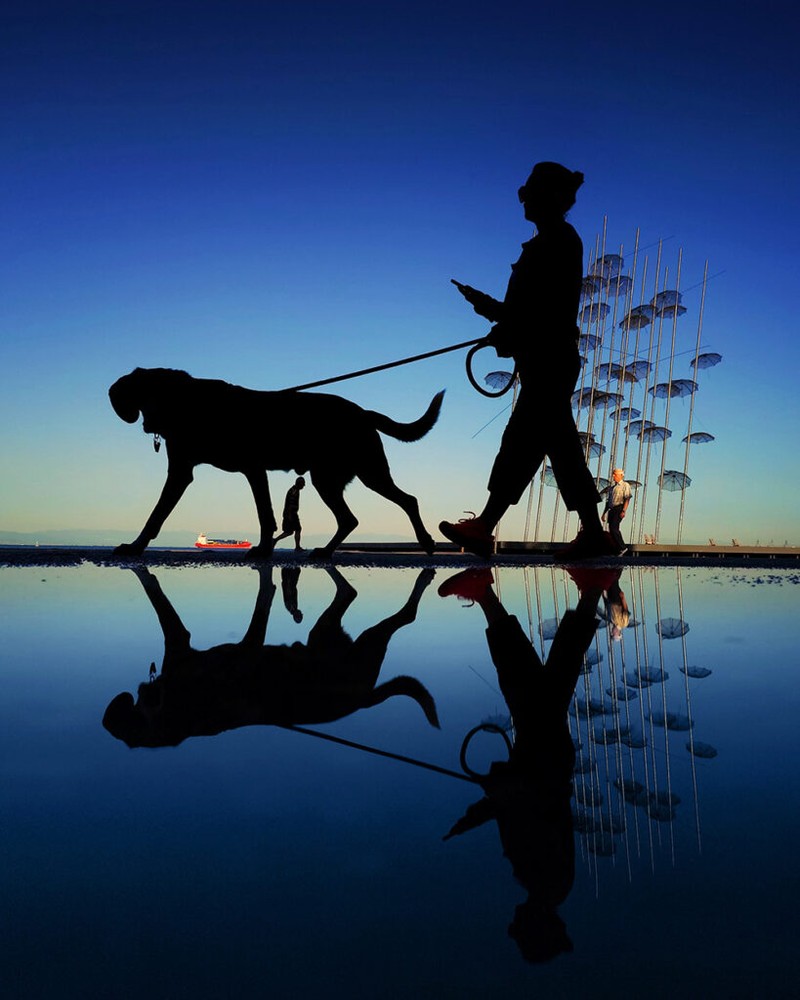 Mobile Photography Awards 2025