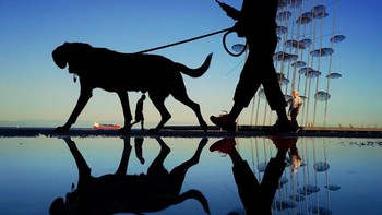 Pemenang kategori Orang diraih Dominika Koszowska. Foto: Mobile Photography Awards