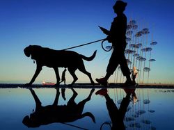 Foto-Foto Juara Mobile Photography Awards 2025, Semua dari HP!