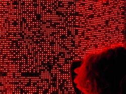 Foto-Foto Juara Mobile Photography Awards 2025, Semua dari HP!