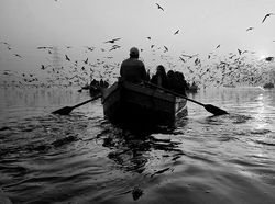 Foto-Foto Juara Mobile Photography Awards 2025, Semua dari HP!