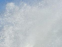 Foto-Foto Juara Mobile Photography Awards 2025, Semua dari HP!