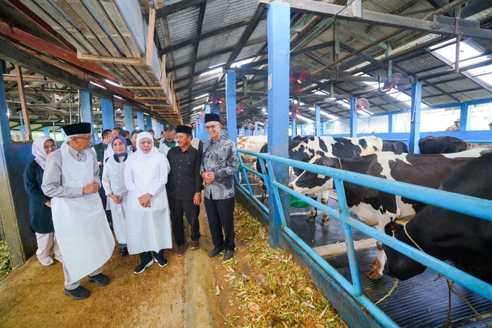 Pemprov Jatim Pemprov Jatim