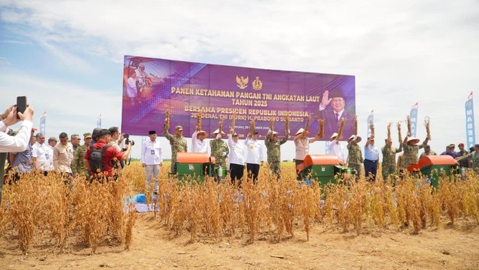 Pemprov Lampung Pemprov Lampung