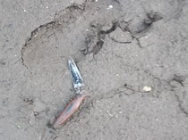 Pisau Patah Saksi Bisu Kematian Tragis Dani di Tasikmalaya