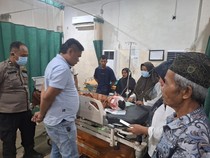 Petani Karet di Muaro Jambi Diserang Beruang, Kepala Terluka
