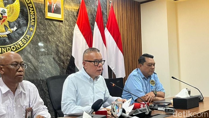 Staf Ahli Bidang Transformasi Digital dan Antar-Lembaga Kemenko Pangan Bara Krishna Hasibuan