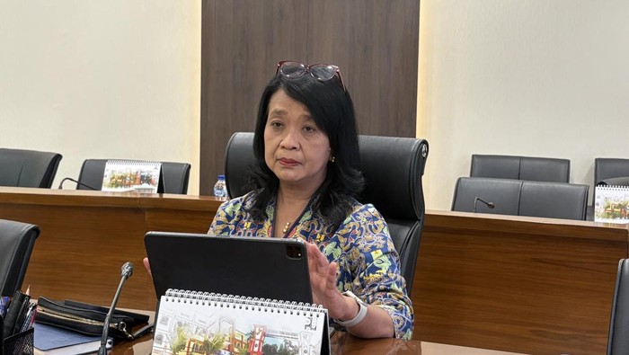 Wakil Menteri Pekerjaan Umum (PU) Diana Kusumastuti Wakil Menteri Pekerjaan Umum (PU) Diana Kusumastuti