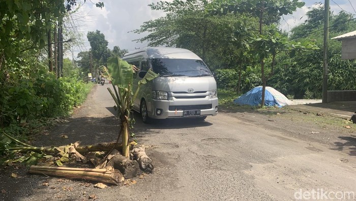 Warga protes dengan menanam pohon pisang di jalan berlubang di Desa Kuripan, Kecamatan Kuripan, Lombok Barat, Rabu (29/10/2025). (Foto: MΒ Zahiruddin/detikBali) Warga protes dengan menanam pohon pisang di jalan berlubang di Desa Kuripan, Kecamatan Kuripan, Lombok Barat, Rabu (29/10/2025). (Foto: MΒ Zahiruddin/detikBali)