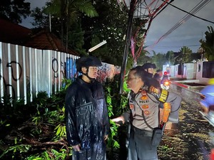 Brimob Polda Metro Sigap Evakuasi Pohon Tumbang di Jaksel, Lalin Normal Lagi