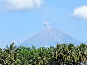 Gunung Semeru Kembali Erupsi Pagi Ini, Tinggi Letusan 800 Meter