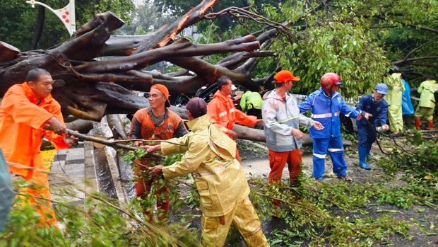 Hujan deras disertai angin kencang menyebabkan sebuah pohon besar tumbang sekitar pukul 15.30 WIB hingga menimpa sebuah mobil yang mengakibatkan mengganggu arus lalu lintas di wilayah Darmawangsa Raya, Jakarta, pada Kamis, (30/10/2025). (X/@TMCPoldaMetro)