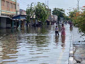 Sederet Suara Jerit Warga Semarang Sepekan Lebih Kebanjiran