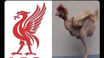 Meme Liverpool Keok, Habis Kena Olok-olok