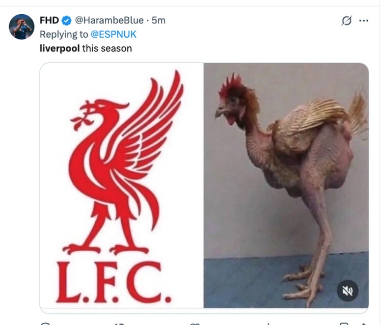 Meme Liverpool Kalah Lagi Meme Liverpool Kalah Lagi