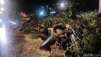 Pohon yang tumbang sudah ditangani petugas dengan dipotong menjadi bagian kecil.  Pohon yang tumbang sudah ditangani petugas dengan dipotong menjadi bagian kecil.