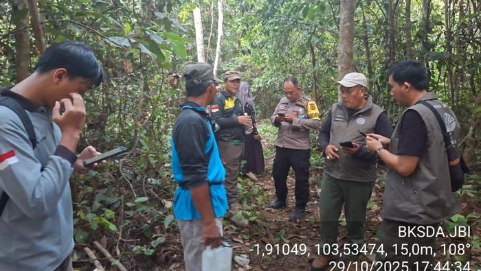 Pihak BKSDA saat turun ke lokasi kejadian serangan beruang madu ke petani karet