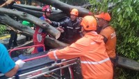 Pohon Tumbang Timpa Mobil di Dharmawangsa Jaksel, 1 Korban Tewas