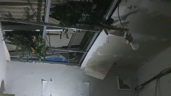 Pohon tumbang timpa rumah di Bogor (dok. BPBD Bogor)